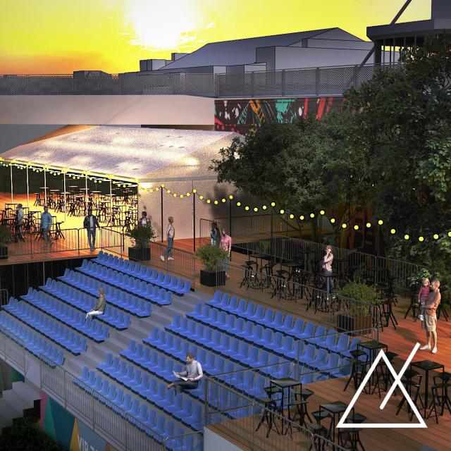 Visualization of the VIP zone