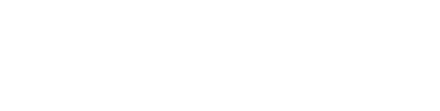 DENÍK N