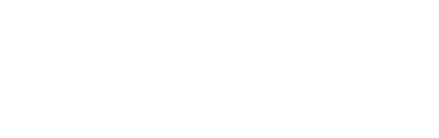 KARLIN GROUP